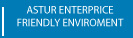 enterprice
